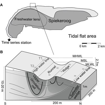 Seasonal Dynamics of Microbial Diversity at a Sandy High Energy Beach Reveal a Resilient Core Community